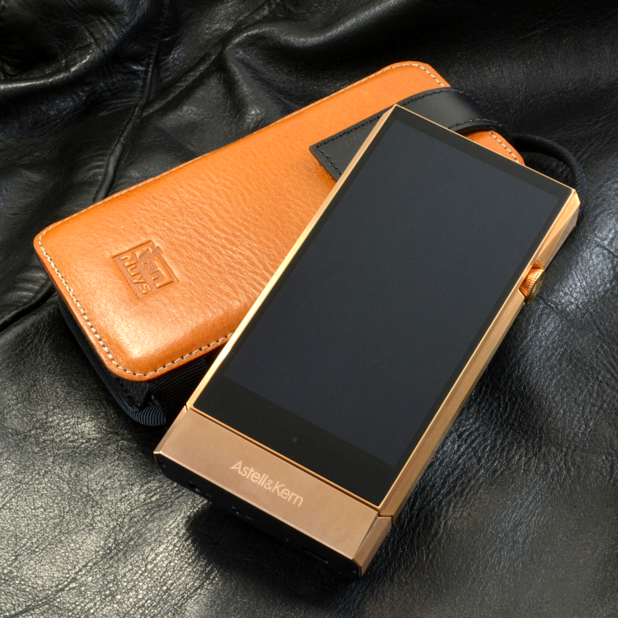 E036：Astell&Kern SP1000とSP1000 AMP用 完全無欠の縦型キャリング