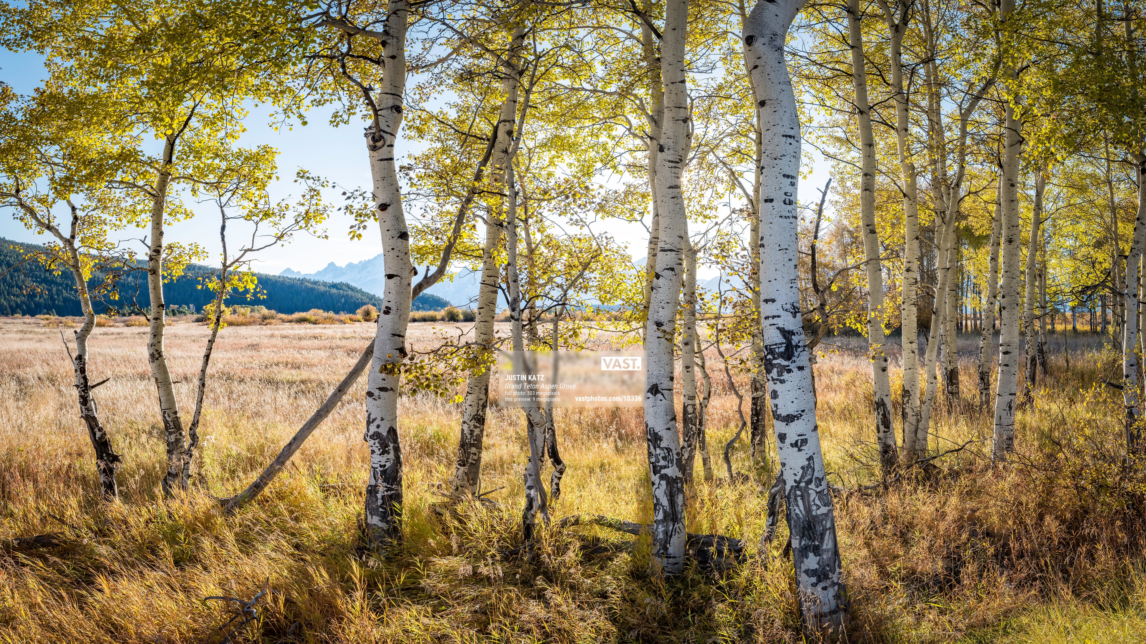 High Resolution Nature Wallpaper Photos - VAST