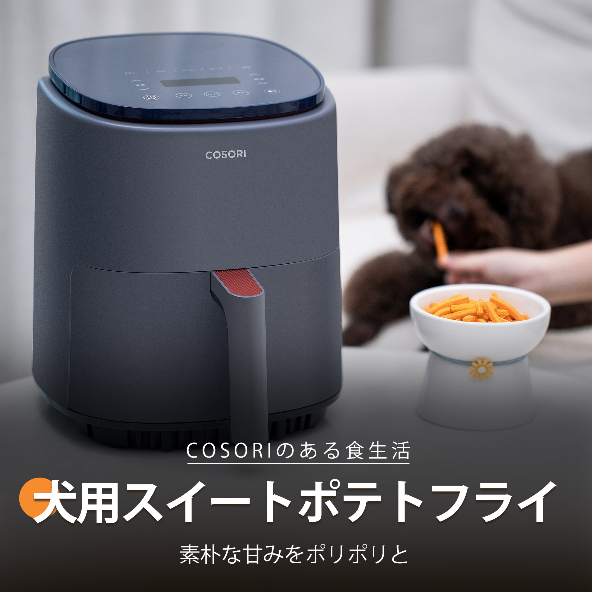 COSORI Lite 3.8L ノンフライヤー レシピ