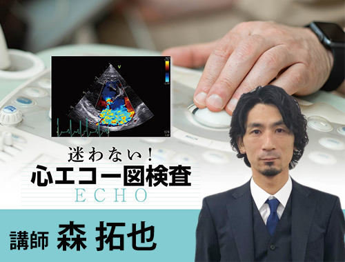 迷わない！心エコー図検査|VetMovie 獣医師向け映像教材配信