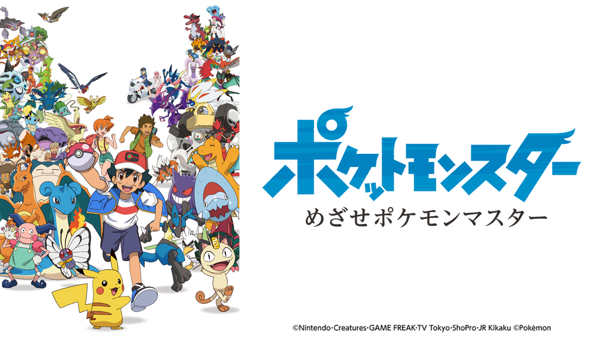ポケットモンスター めざせポケモンマスター｜ネットもテレ東 テレビ