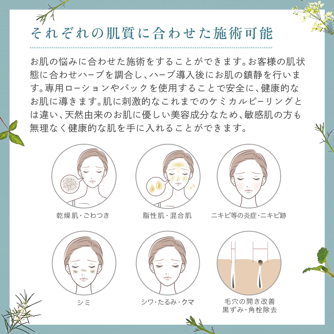 ハーブピーリング専用商品 | 株式会社Dr.Visea/ドクタービセア