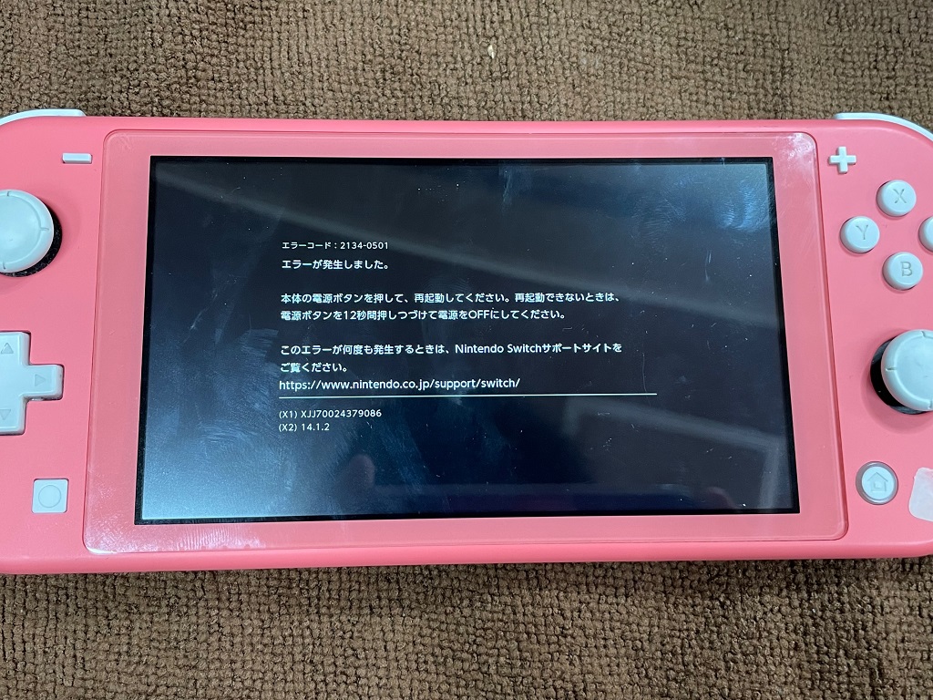 Switch Lite エラーコード「2134-0501」修理 富山県砺波市・個人の