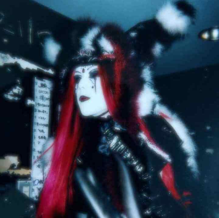 Aliene Ma'riage (aliene-ma-riage) V. Kyouka (狂華) solo photo