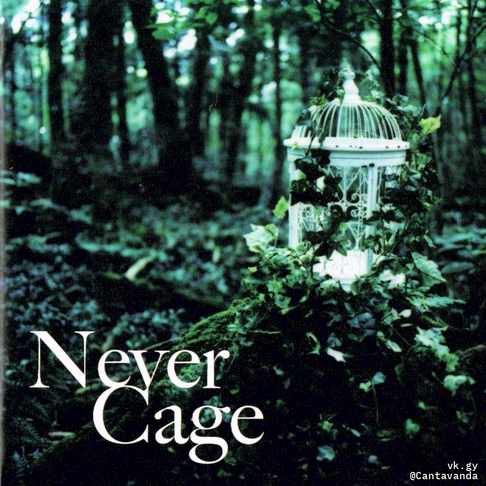 Never Cage Tsuujouban - LAREINE | vkgy (ブイケージ)