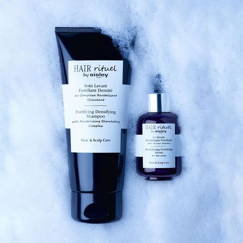 シスレー | LINE Official Account