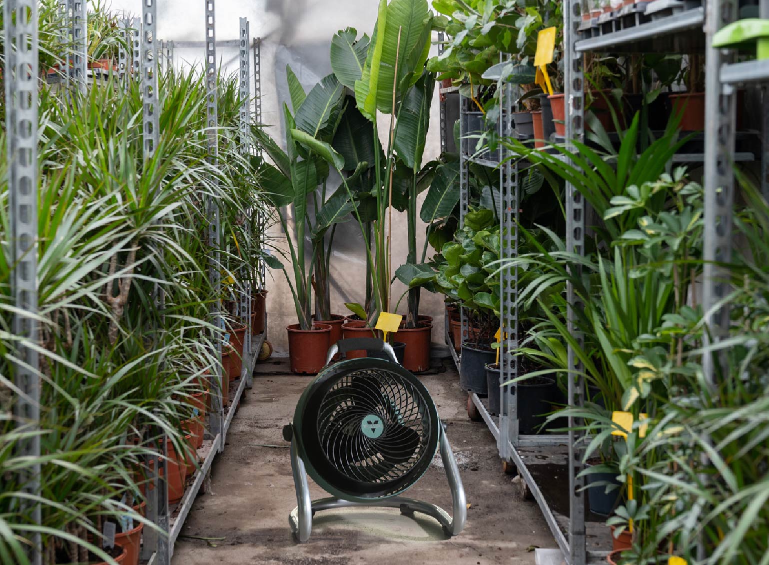 293HD-JP - VORNADO - ボルネード公式サイト