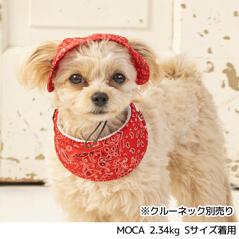 帽子 S/M/L Solgra-ソルグラ- 犬用 SO24SS so242347-1 – WAN VOYAGE