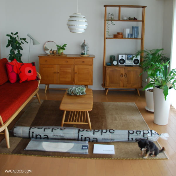 パペリナ】届きました！ウォームグレーはこんな色【Vera One Knitted