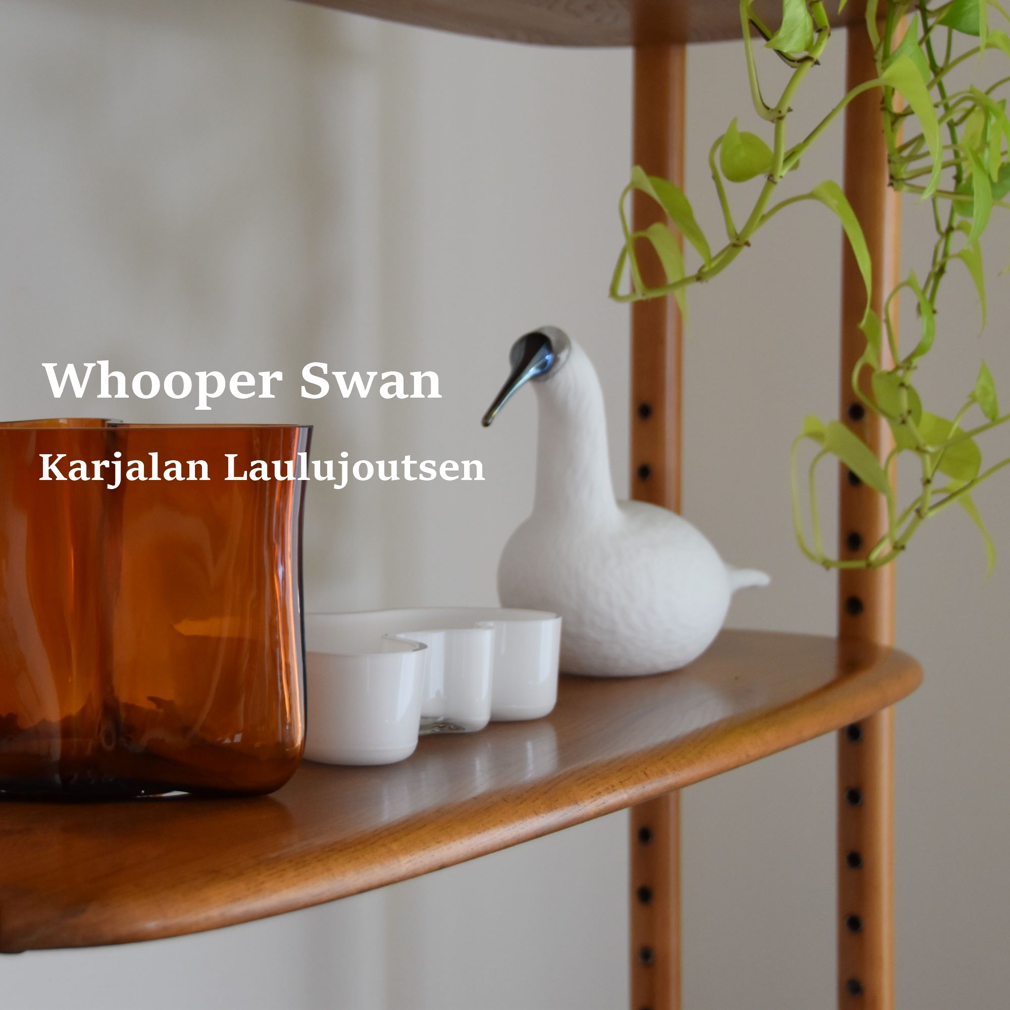 イッタラ アウトレットで古いバードを買いました【Whooper Swan white