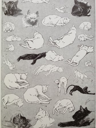 Des Chats par Steinlen- Images Sans Paroles | 猫本専門書店 書肆 吾輩堂