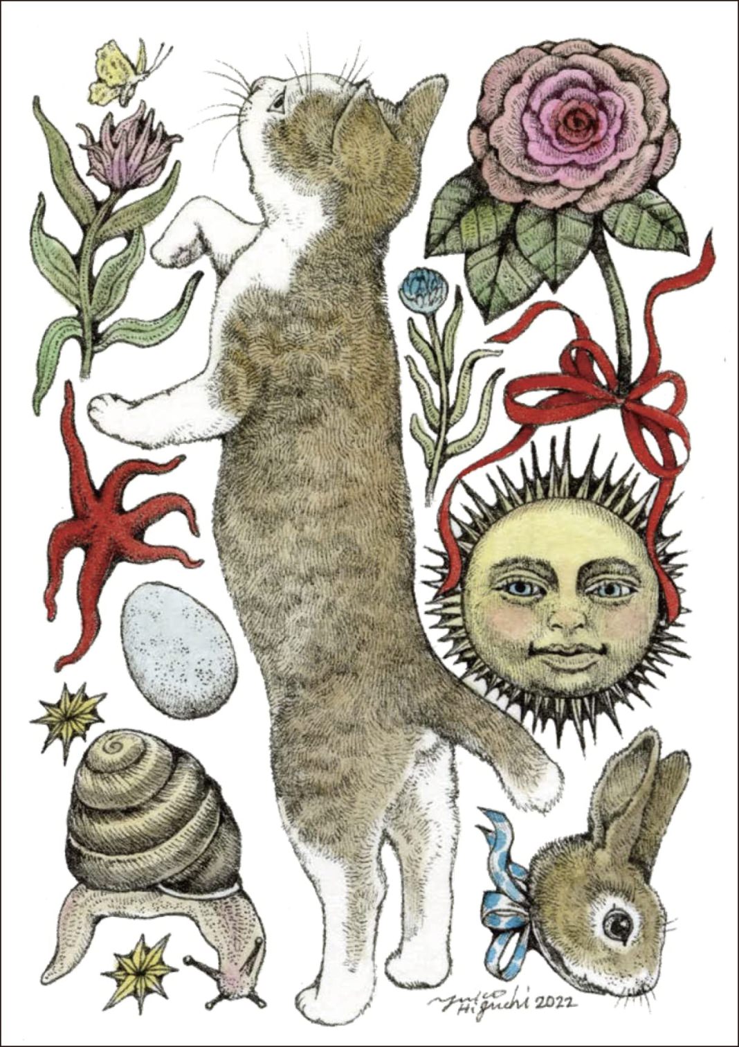 ヒグチユウコ ボリス カードブック | 猫本専門書店 書肆 吾輩堂