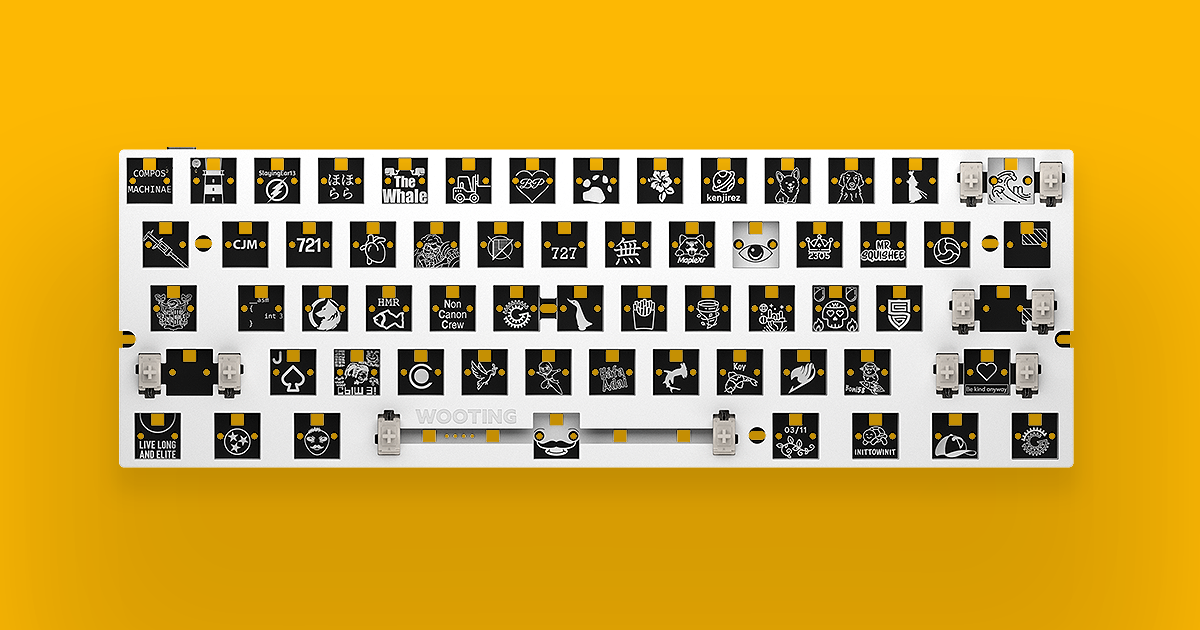 Wooting 60HE+ Module | Wooting