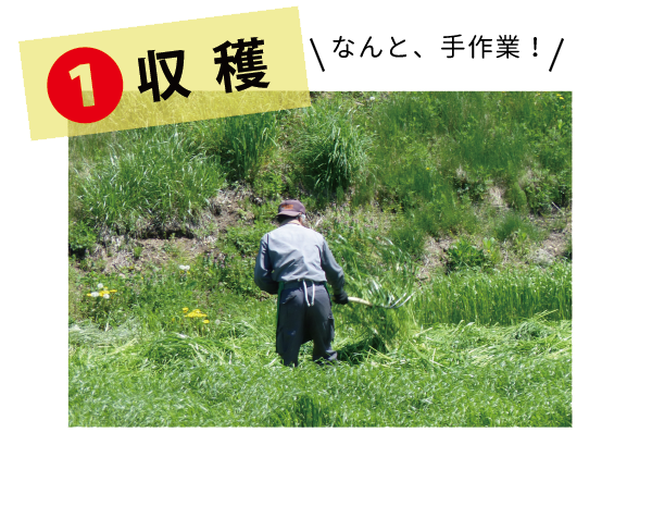 4種みっくす - 株式会社ウーリー｜うさぎの食彩工房