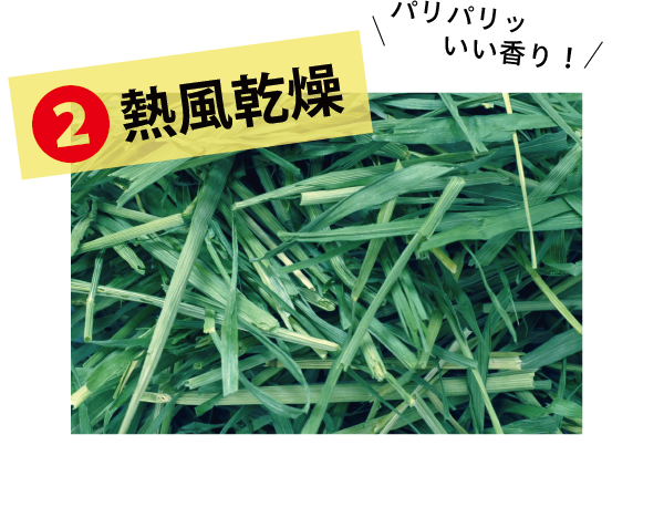 麦ヤング - 株式会社ウーリー｜うさぎの食彩工房