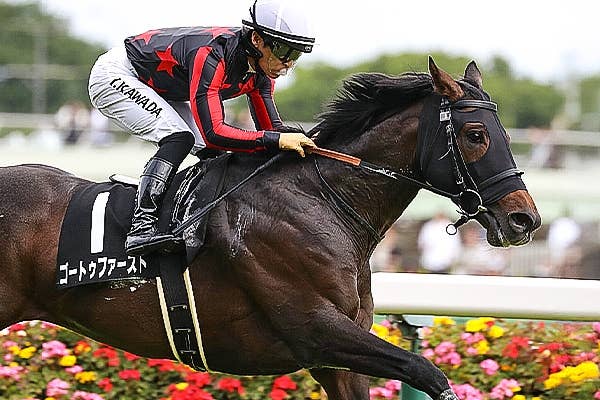 洋書 フランス語 馬 販売情報 Deauville 競馬 ドーヴィル 2002 洋書