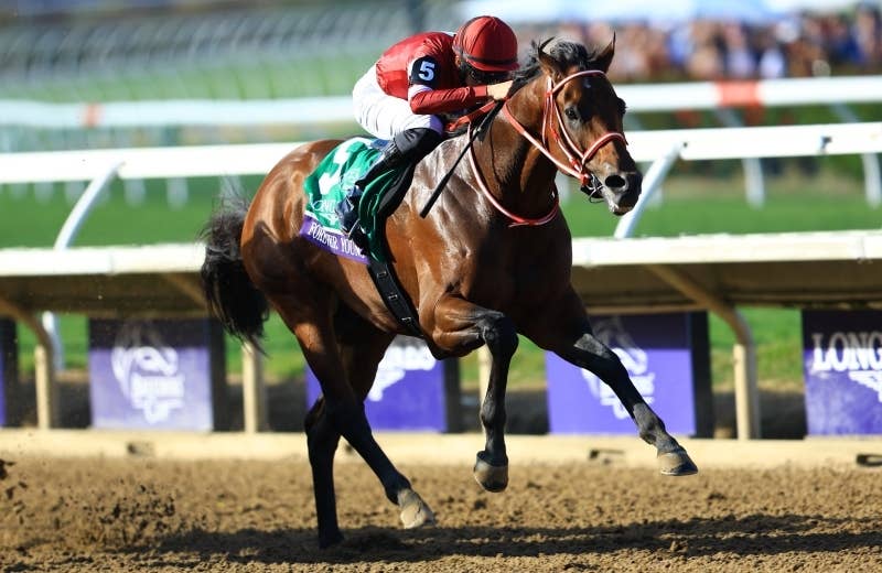 カランダガン（Calandagan） | 競馬データベース | JRA-VAN World