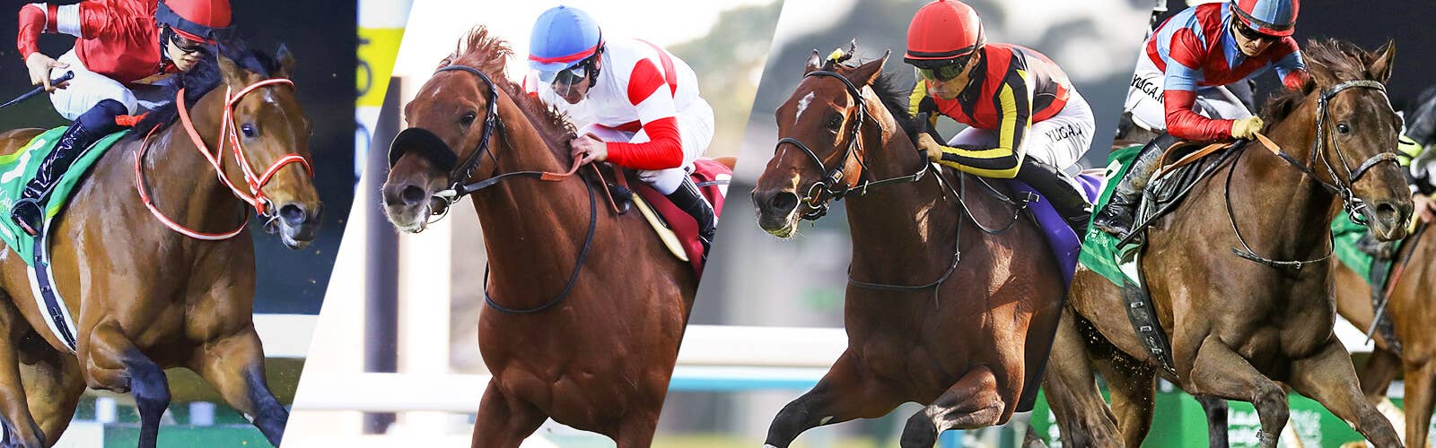 ニュース | 2025ドバイワールドカップデー | JRA-VAN World - 海外競馬