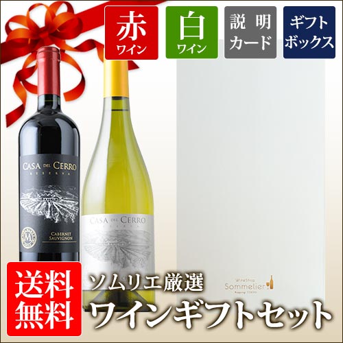 送料無料 12本収納ワインセラー +LOUNGE （プラスラウンジ）LNE-W312B