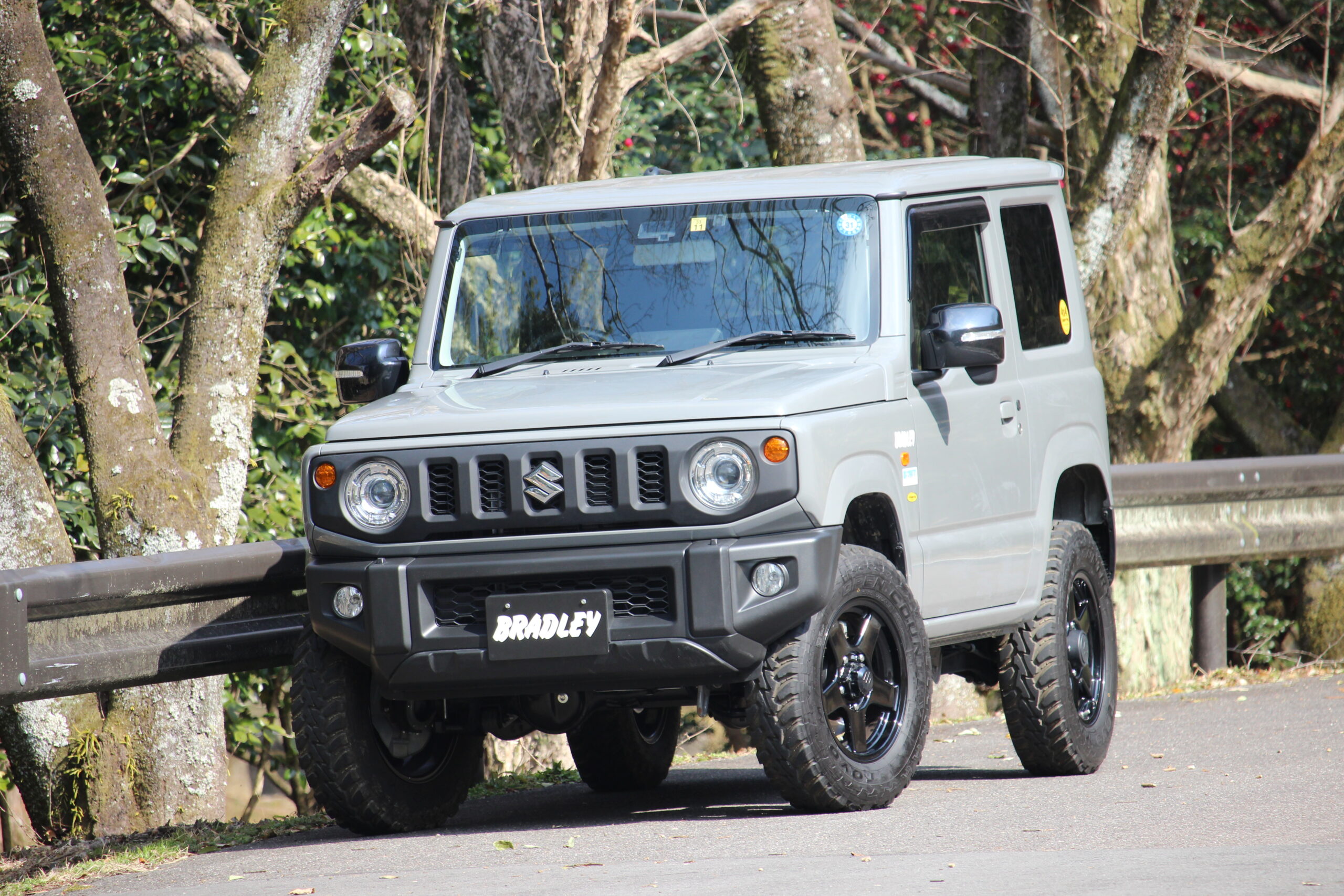 ウインターカスタムにもオススメな軽量モデルの【BRADLEY V EVOLUTION