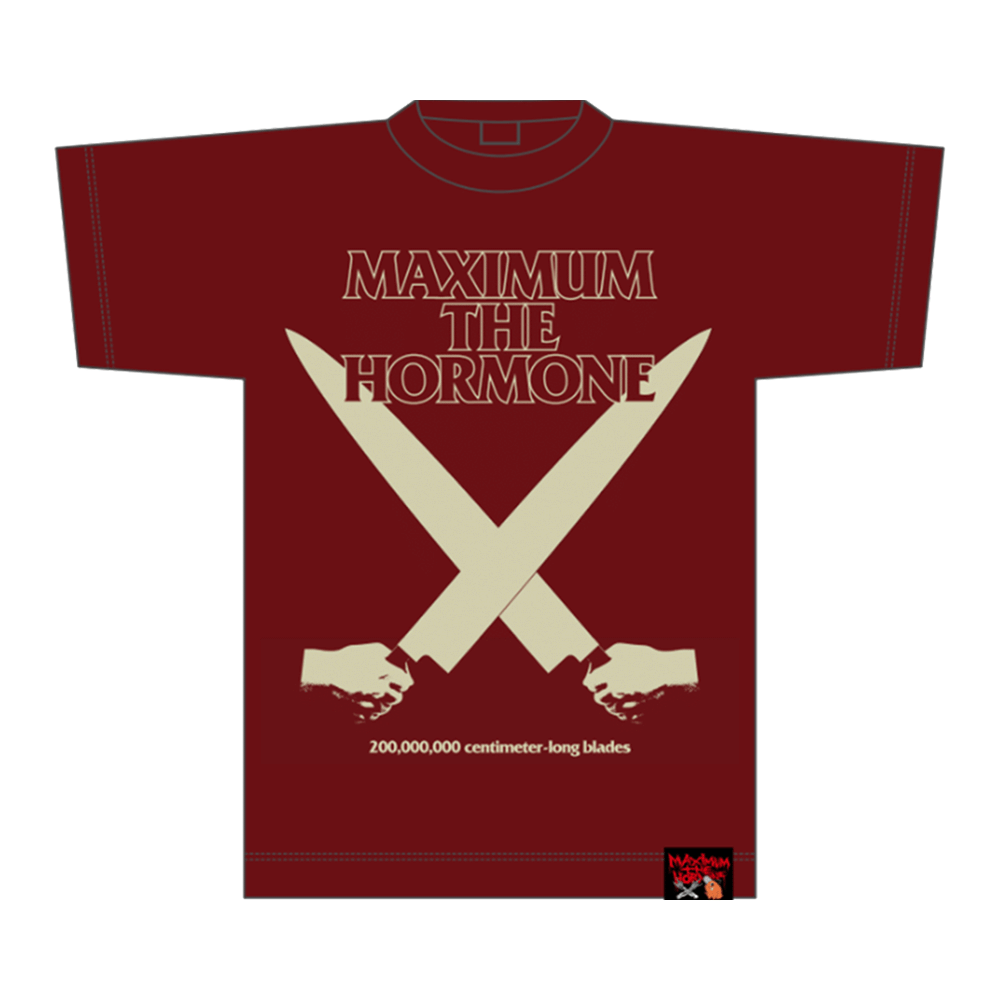 歴代GOODSライブラリー | マキシマム ザ ホルモン Official Site