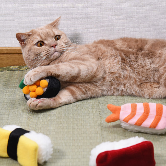 猫用おもちゃ おすしやさん たまご (35626) ゴロにゃんオリジナル