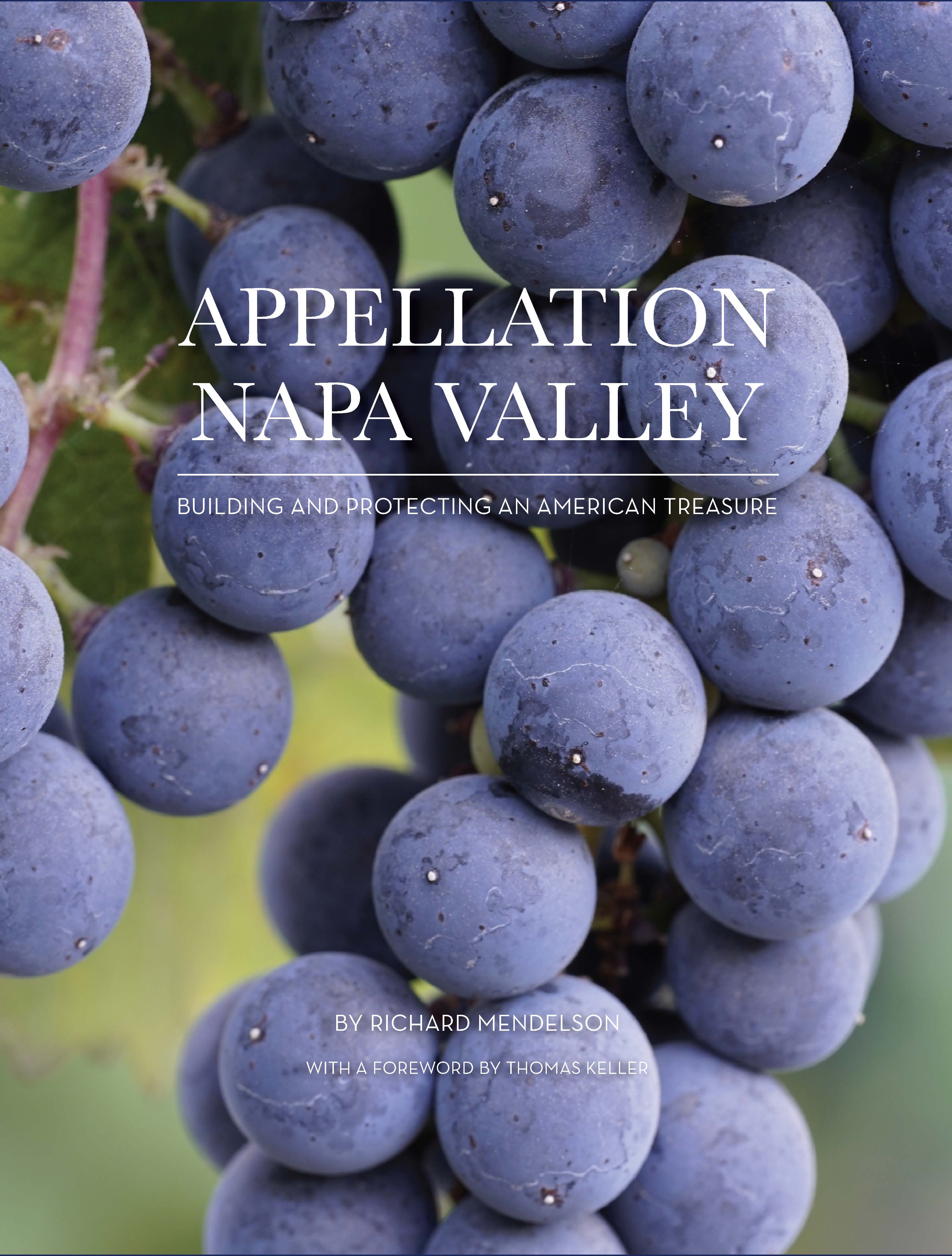 洋書 Beyond The Grapes: Napa Valley 洋書 Beyond The Grapes: Napa