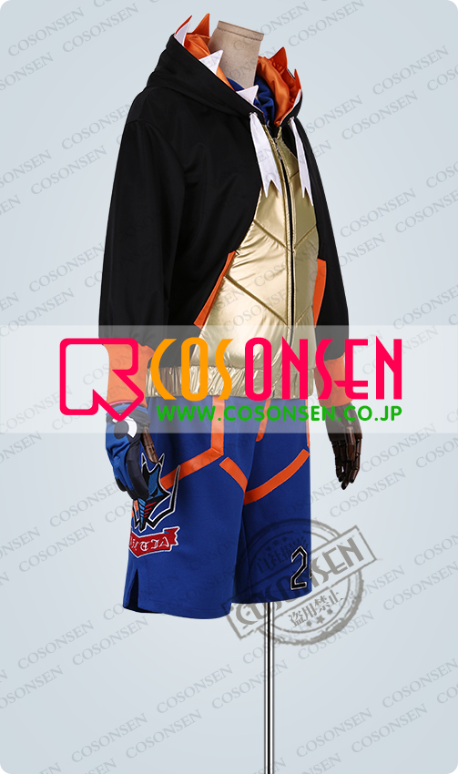 ポケットモンスターソード・シールド ポケモン剣盾 ジムリーダー