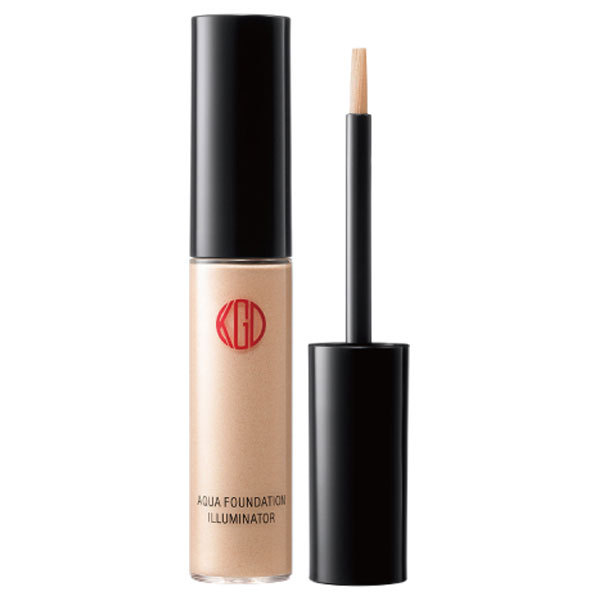 HakuaLead エッセンシャルファンデーション L 22g HakuaLead