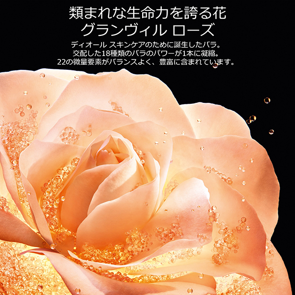 プレステージ ラ クレーム リッシュ N / ディオール(フェイスクリーム