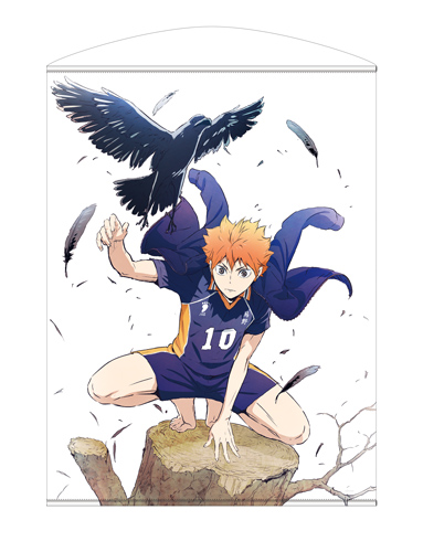 日向翔陽 100cmタペストリー [ハイキュー!! TO THE TOP