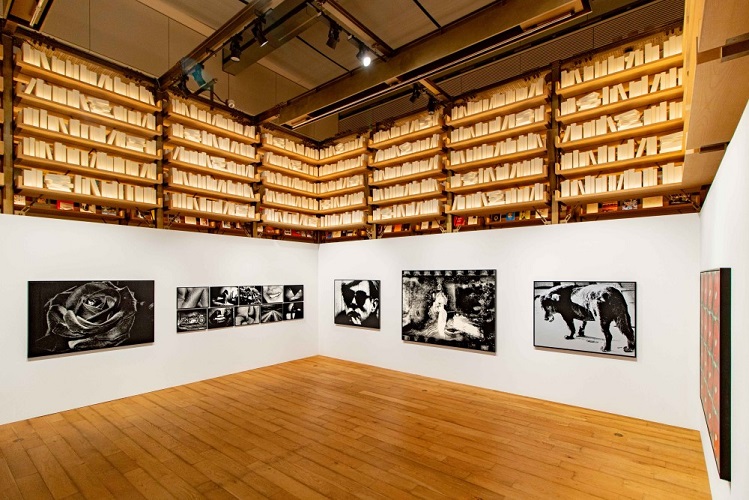 展覧会】森山大道「THE FOSSILIZATION of LIGHT」｜事例紹介｜CCC