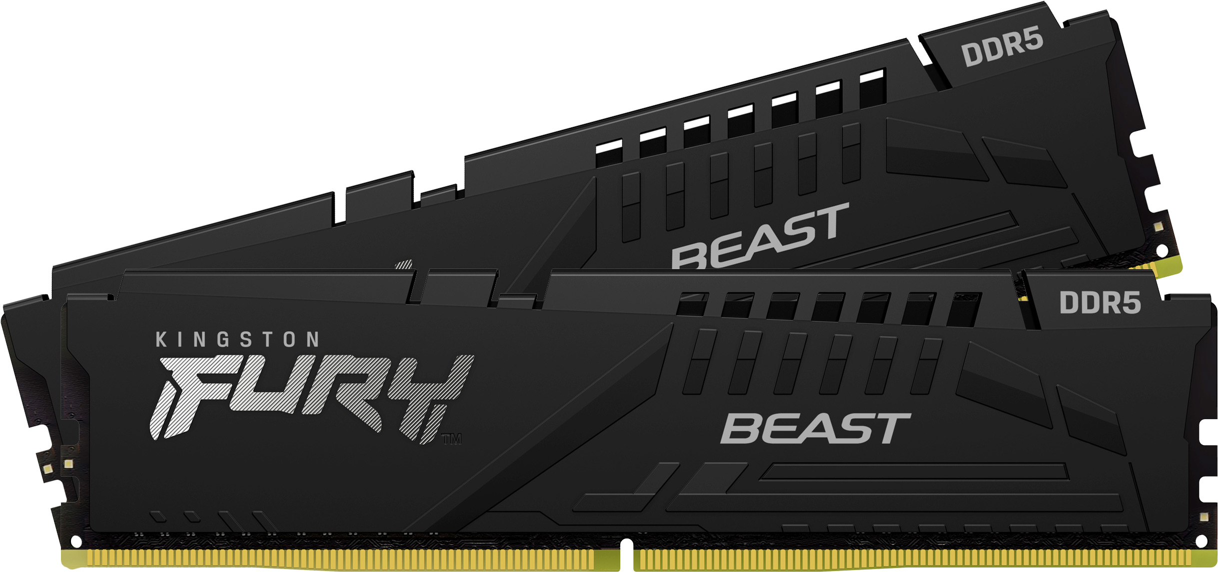 ktc-beast-ddr5-dimm-2_s_hr.jpg