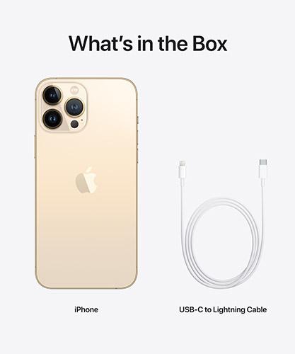 iPhone 13 Pro Max 1TB Gold | Cellcom