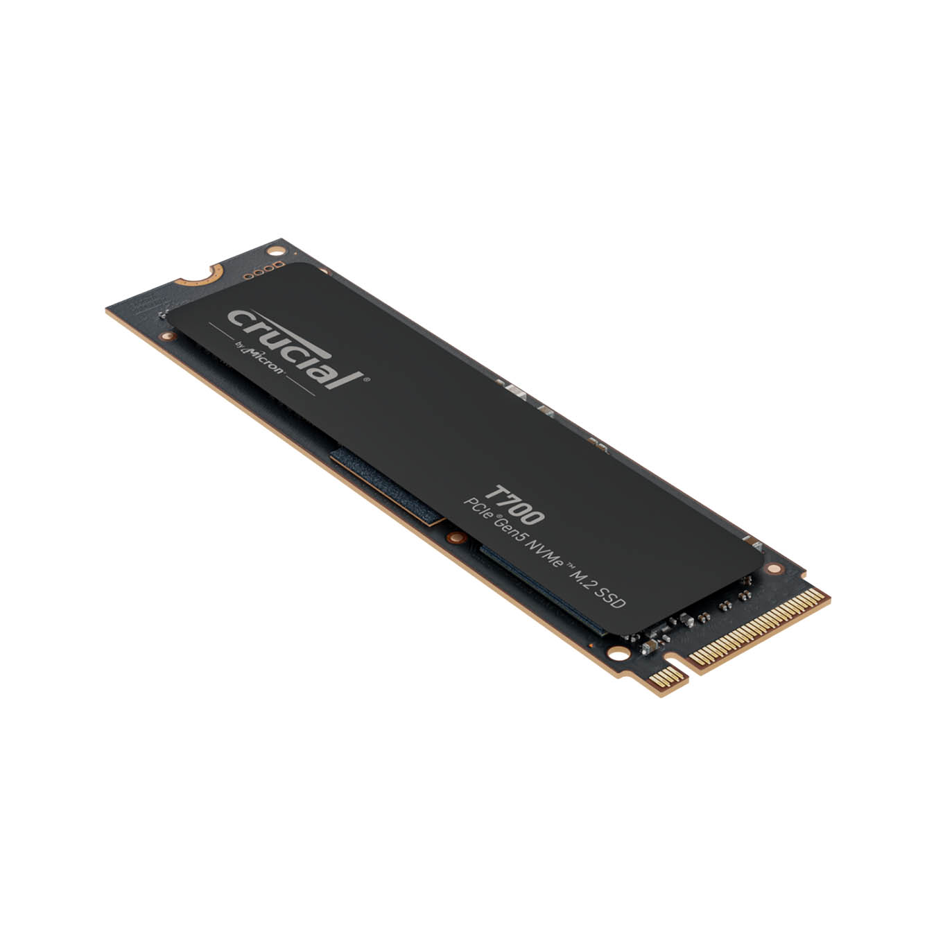 CT1000T700SSD3JP | Crucial T700 ハイエンド M.2 NVMe接続SSD 1TB