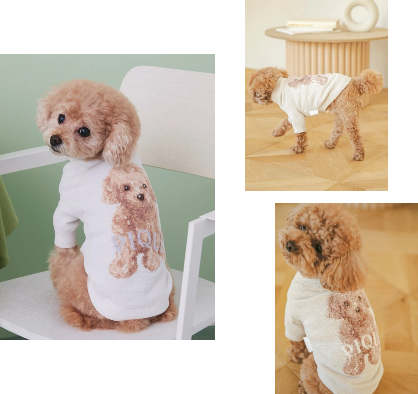 GELATO PIQUEトイプードルシリーズ