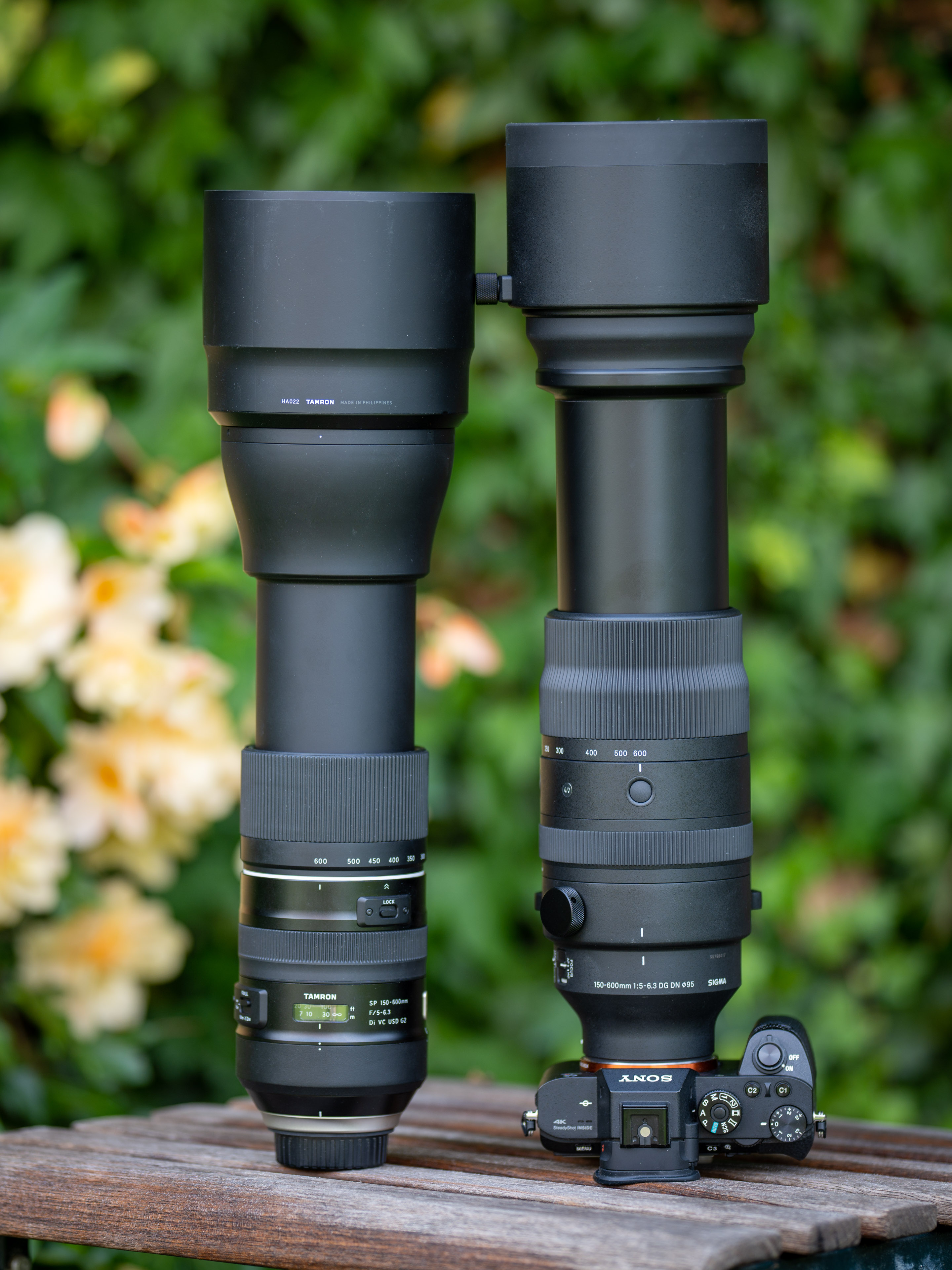 Sigma 150-600mm f5-6.3 DG DN OS review | Cameralabs