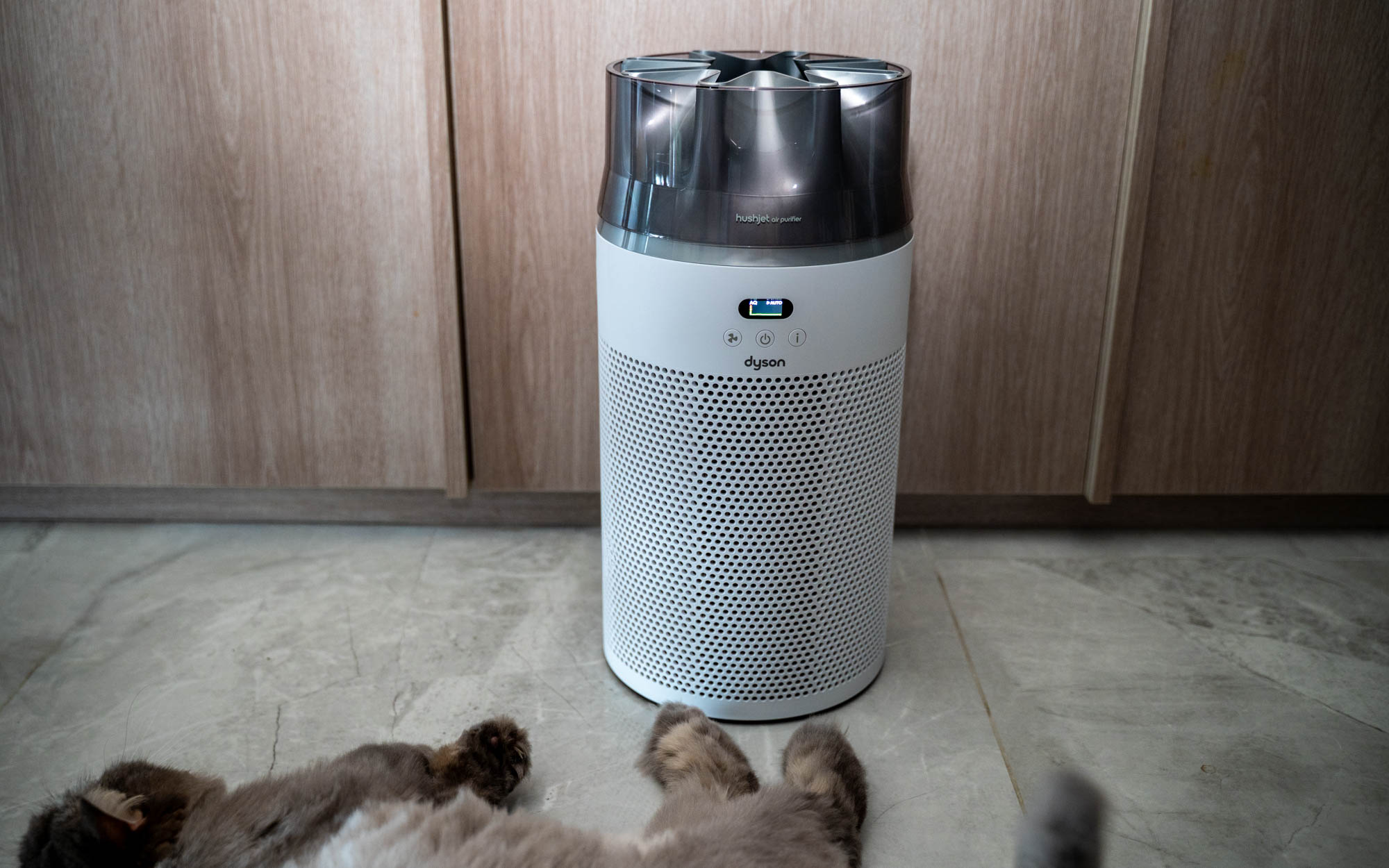 Dyson HushJet Purifier Compact HJ10 review: Mighty small - Can Buy