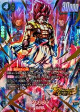 スタートデッキEX 「シャロット」「ジブレット」 - カードラッシュ