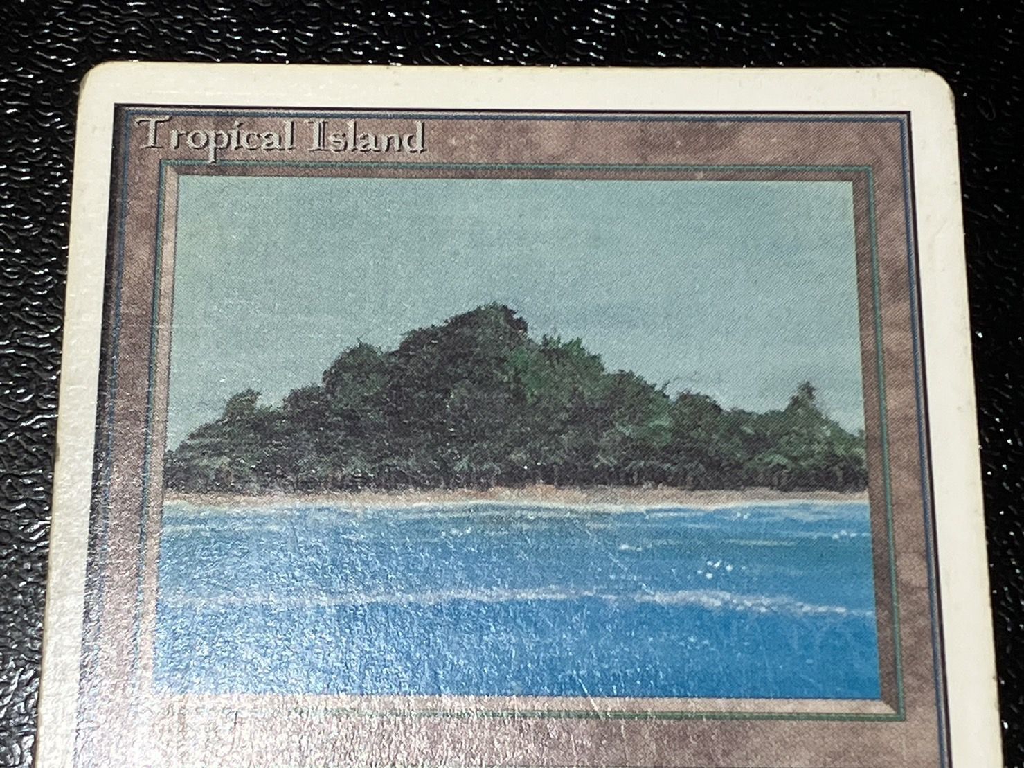 HPLD]Tropical Island《英語》【2ED】#118