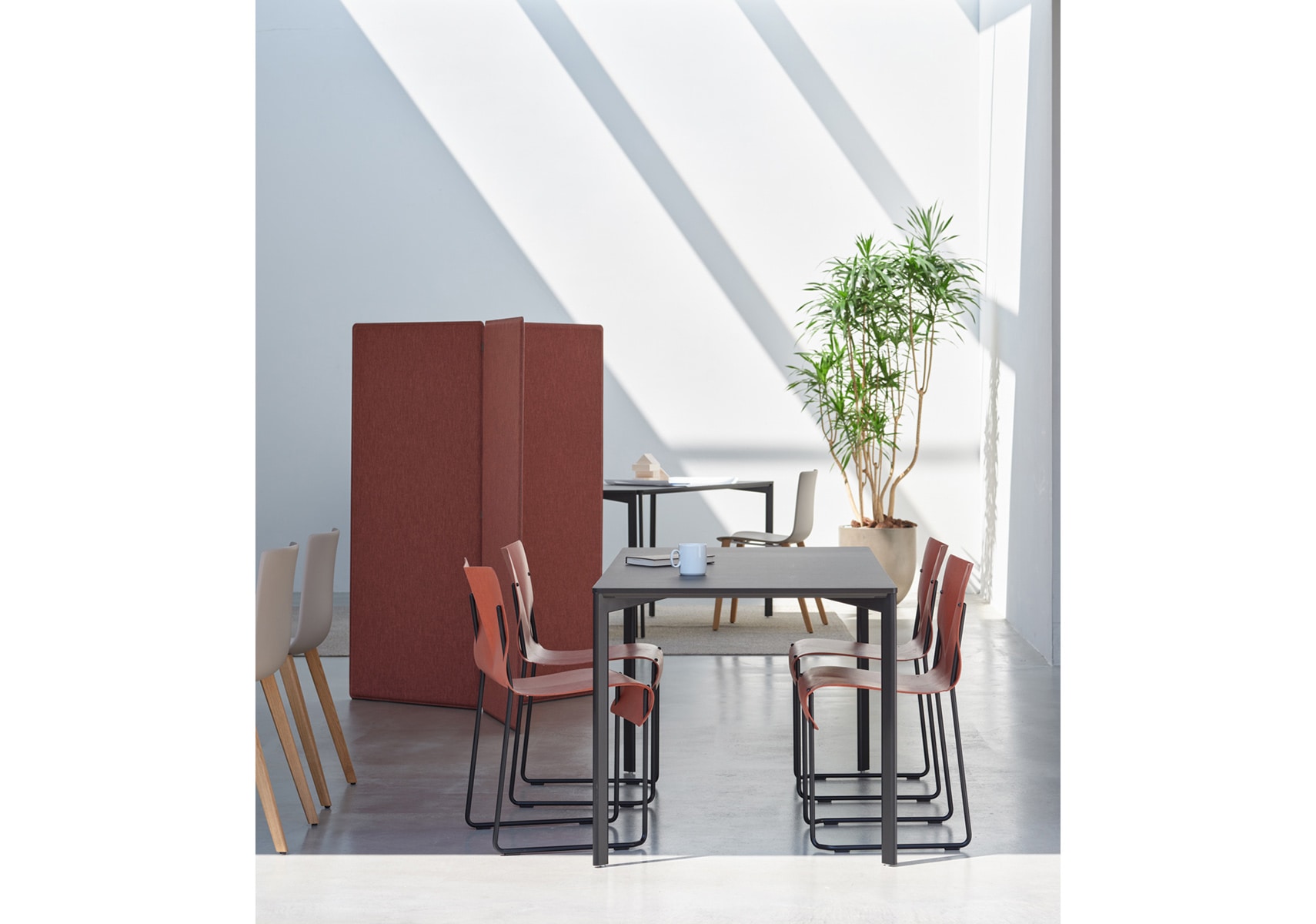 IXC(イクスシー）OLIO(オリオチェア）|カッシーナ・イクスシー 公式