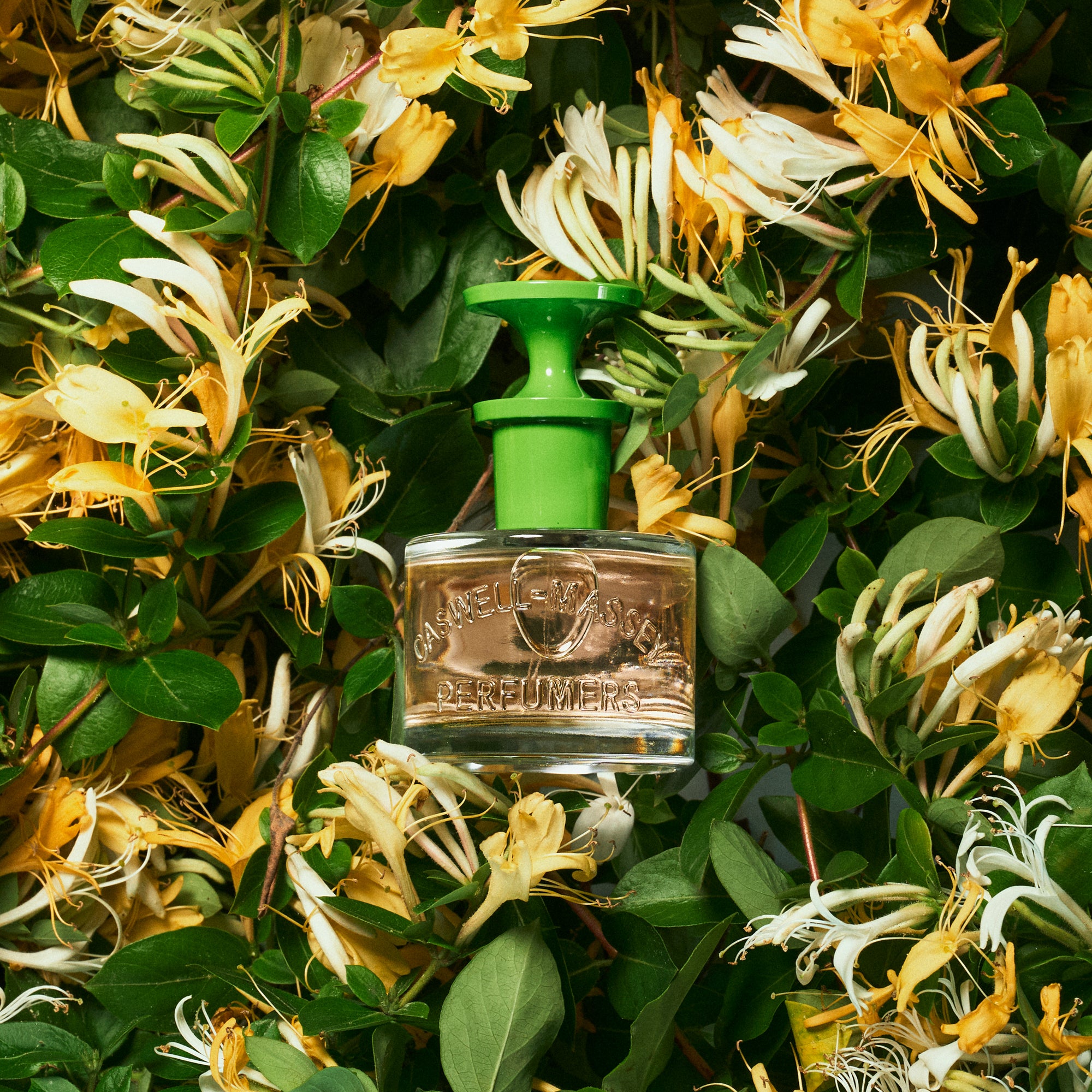 Honeysuckle Eau de Toilette | Fine Fragrance | Caswell-Massey®