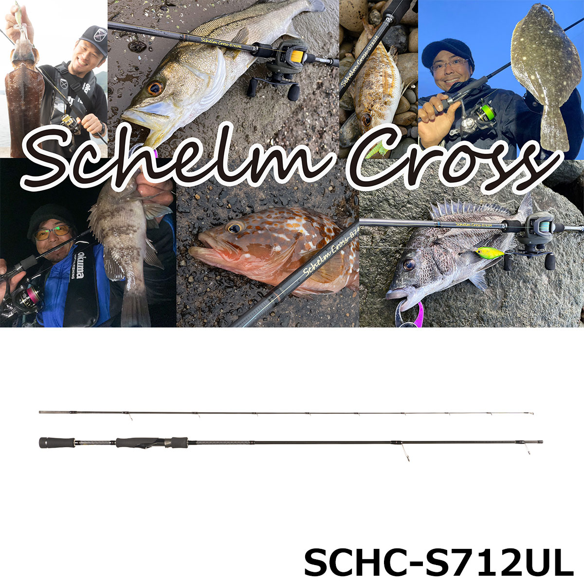 オリムピック(OLYMPIC) 18ヌーボカラマレッティー・プロトタイプ