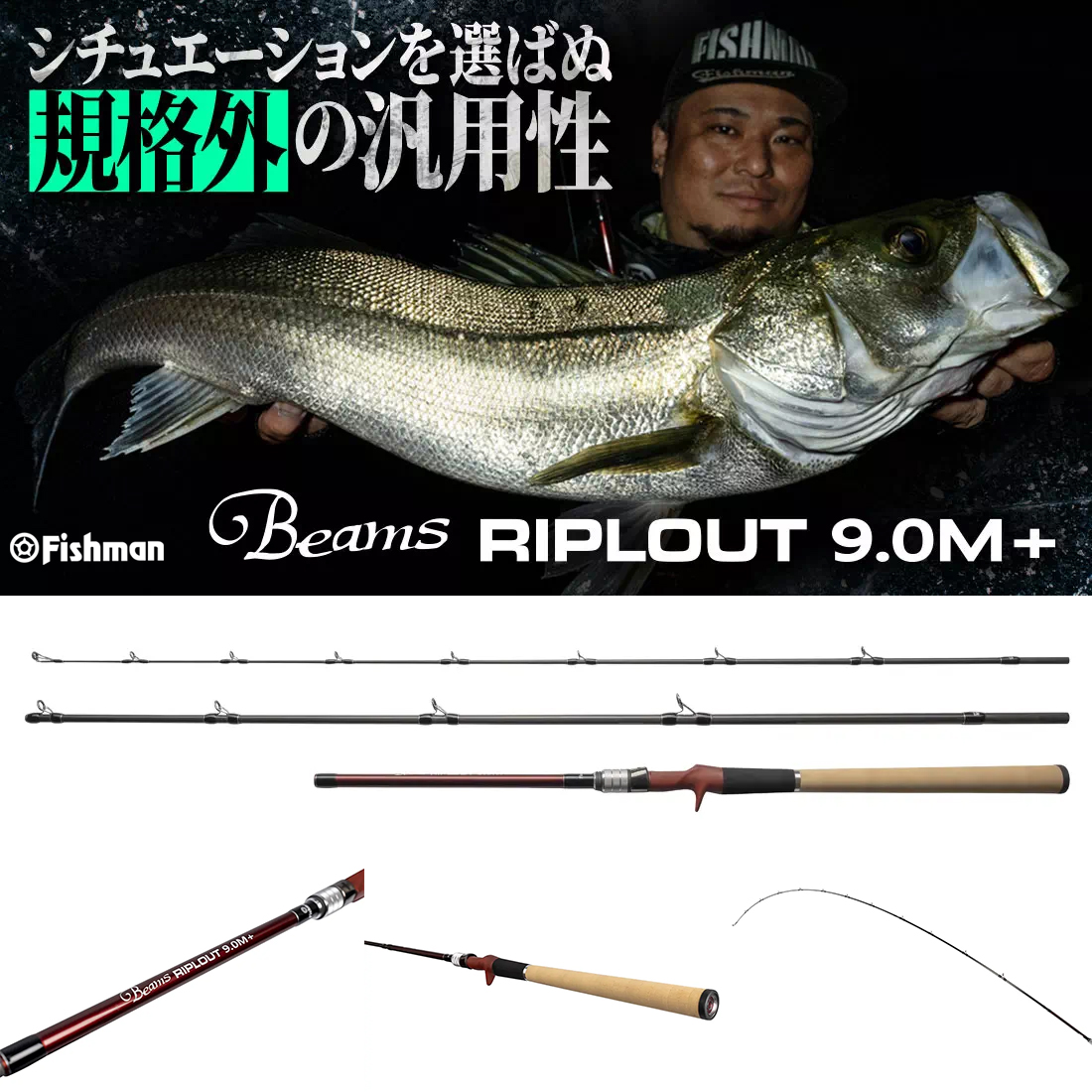 フィッシュマン(Fishman) ブリスト ベンダバール(BRIST VENDAVAL) 10.1