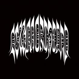 CASTLE-RECORDS/商品詳細 【DEADSTOCK】 DOWN NORTH CAMP / The