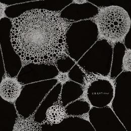 CASTLE-RECORDS/商品詳細 ZONE THE DARKNESS / CREATION - Mixed By DJ