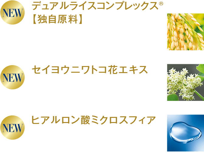 コンセントレートプラス バイタルクリームa│【公式】シーボン（C'BON