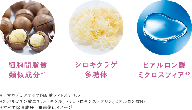 ALL DAY PERFECT VEIL│【公式】シーボン（C'BON）ホームケア（化粧品