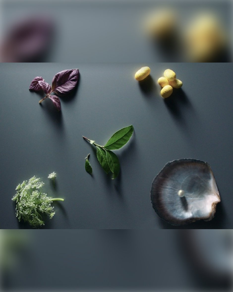 セラムコンサントレエクレルシサンn - 美白美容液 - スキンケア