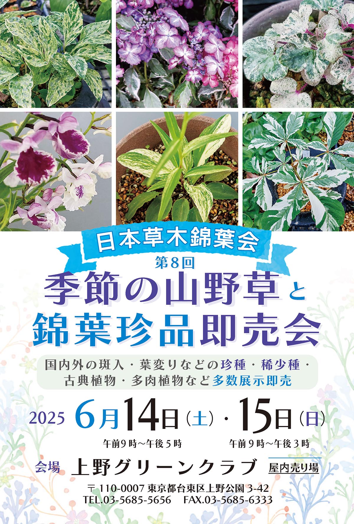 2024/06/14‐15 季節の山野草と錦葉珍品即売会です！ | 中越植物園website